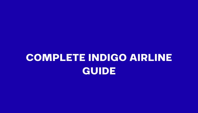 IndiGo Airline Guide: Baggage, Check-In, Flights & Transit